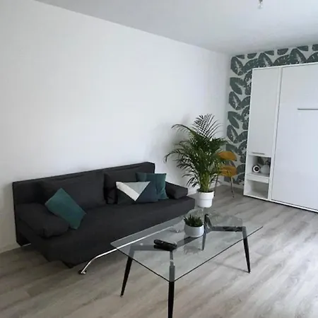 Un Havre De Paix En Plein Coeur De Pres Chu Apartmán Clermont-Ferrand